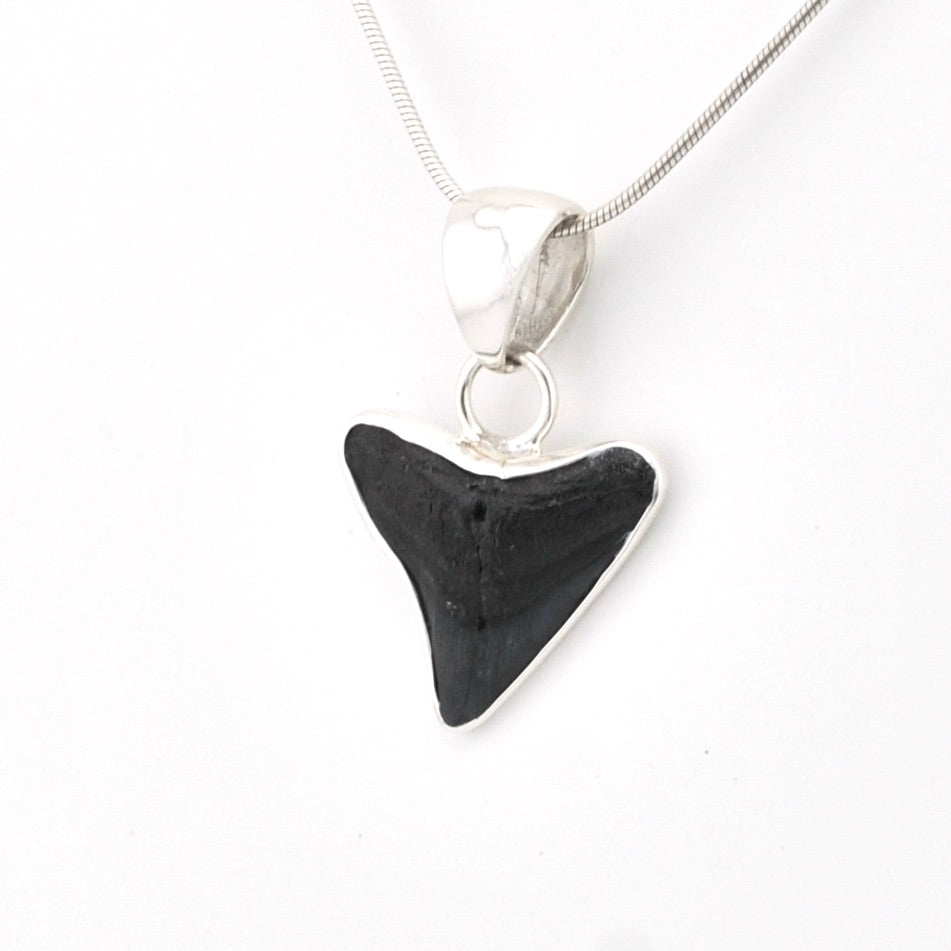 Black shark tooth pendant on a silver chain against a white background