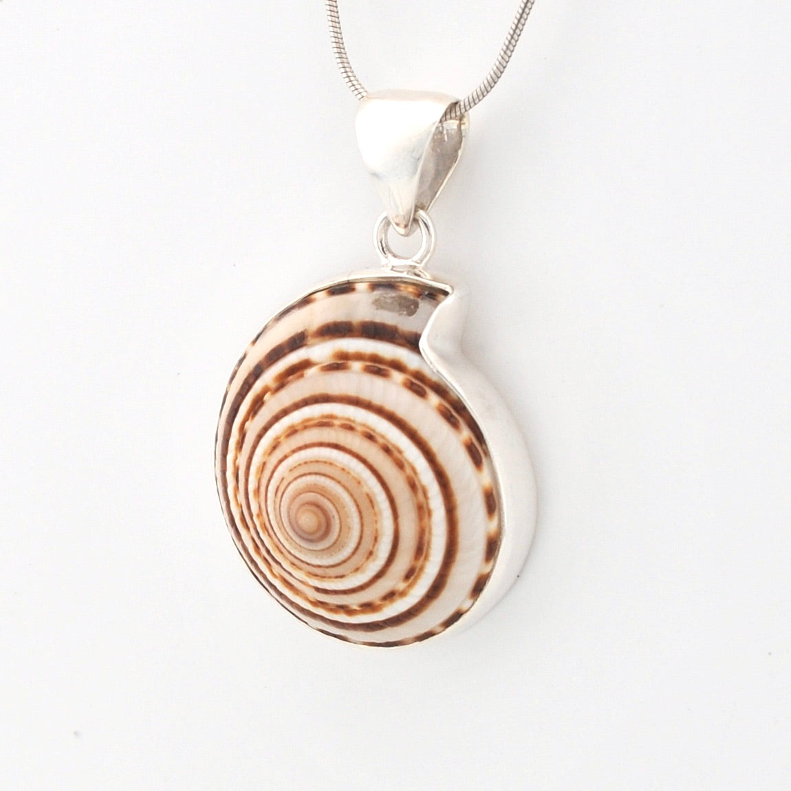 Shell pendant necklace on a white background