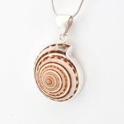 Shell pendant necklace on a white background