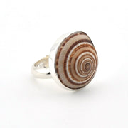 A silver ring featuring a large, round spiral seashell centerpiece with concentric brown, beige, and white patterns, set against a plain white background.