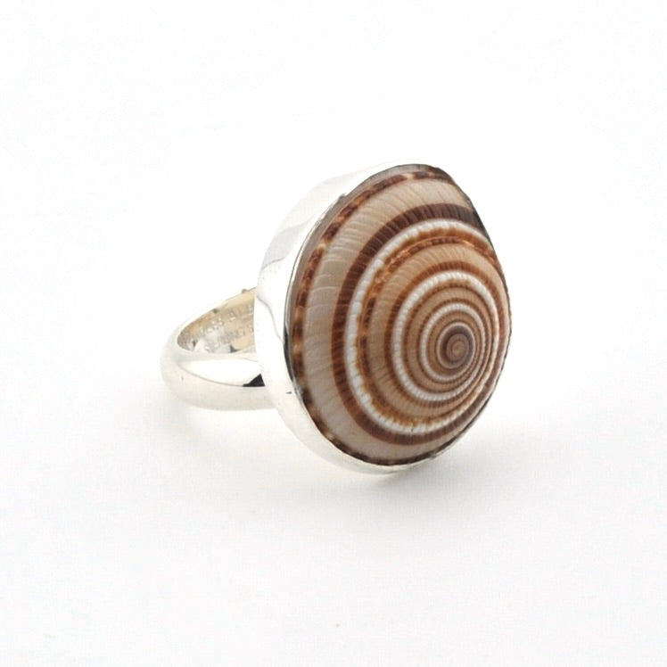 A silver ring featuring a large, round spiral seashell centerpiece with concentric brown, beige, and white patterns, set against a plain white background.