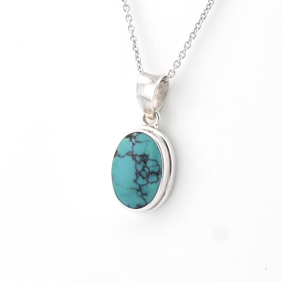 Turquoise pendant on a silver chain against a white background