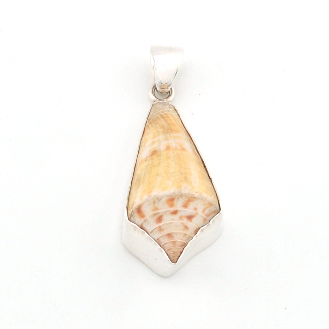 Handmade shell in silver pendant on a white background