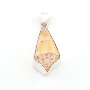 Handmade shell in silver pendant on a white background
