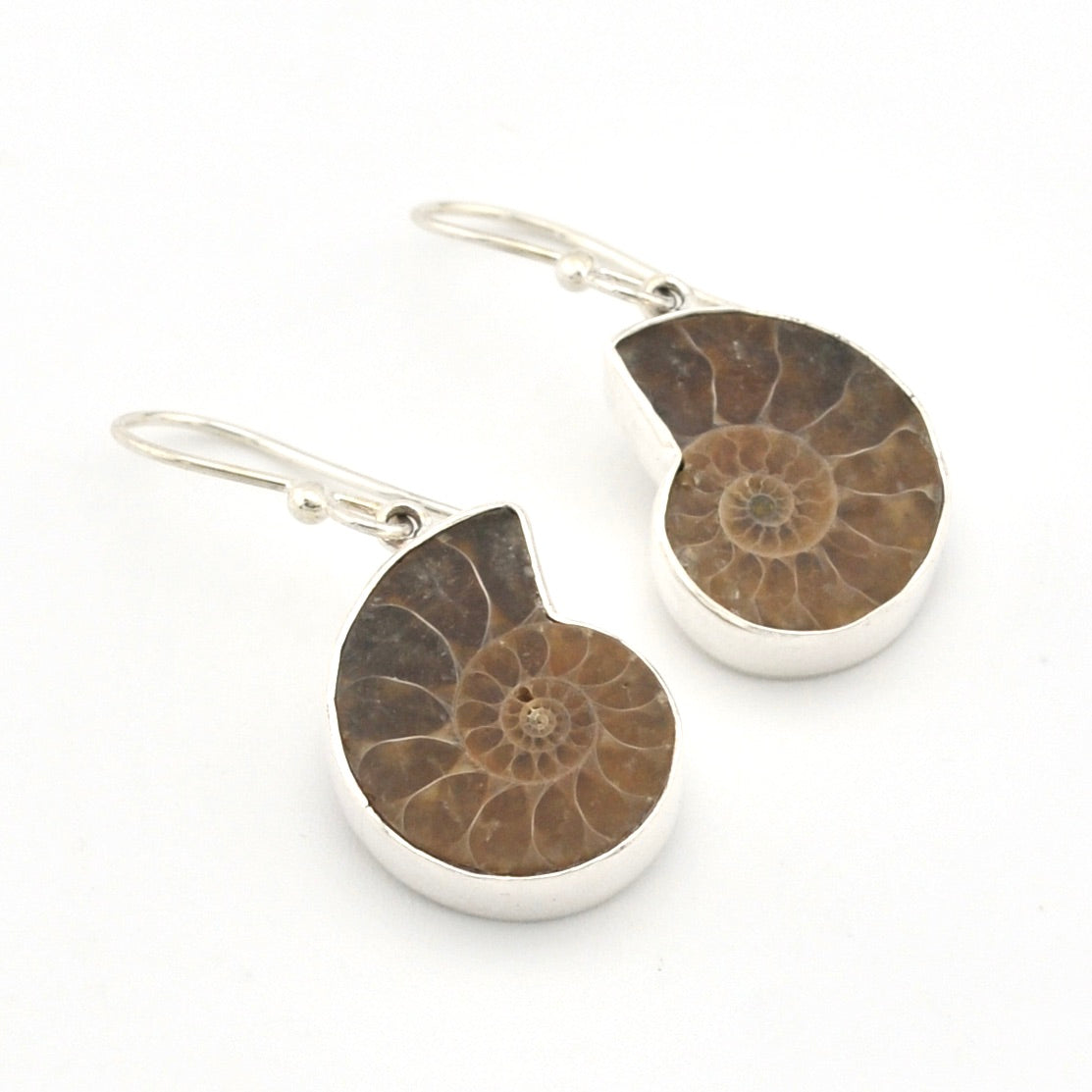 Ammonite fossil earrings with silver backing on a white background