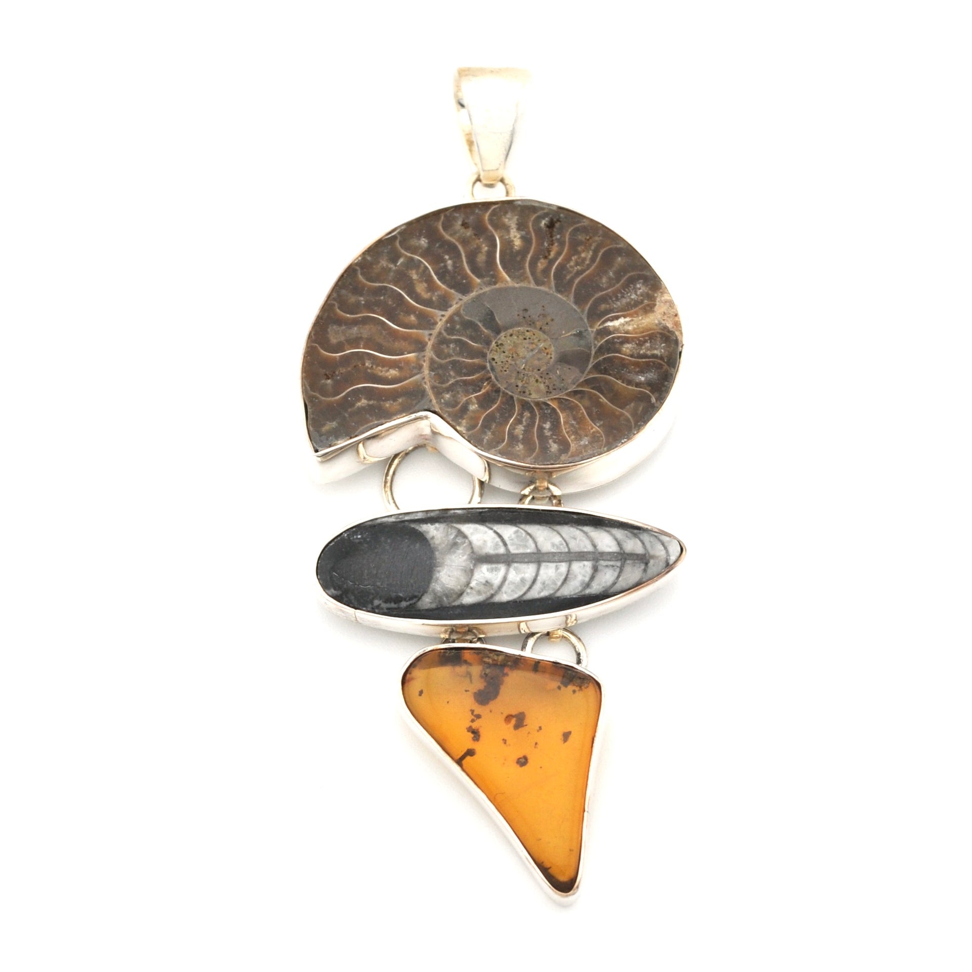 Silver Ammonite Orthoceras Amber Pendant