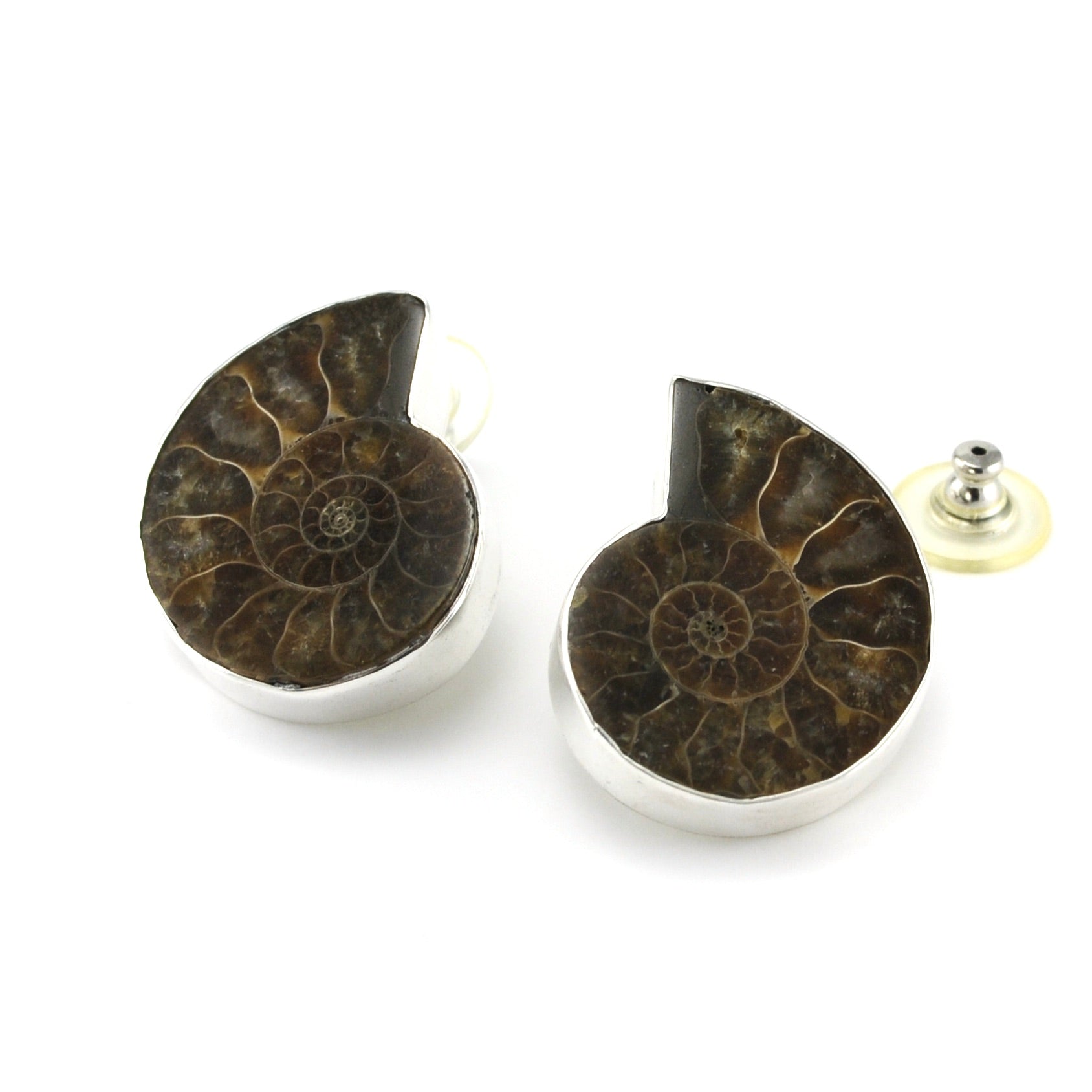 Silver Ammonite Post Earrings