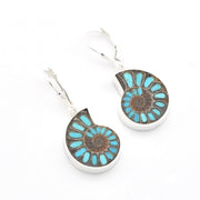 Pair of earrings with circular design featuring blue and brown colors on a white background