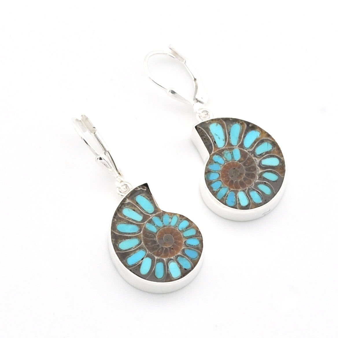 Pair of earrings with circular design featuring blue and brown colors on a white background