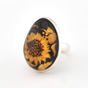 Silver Baltic Amber Sunflower Adjustable Ring