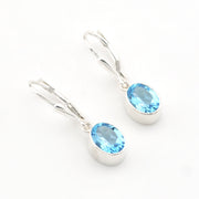 Pair of silver earrings with blue gemstones on a white background