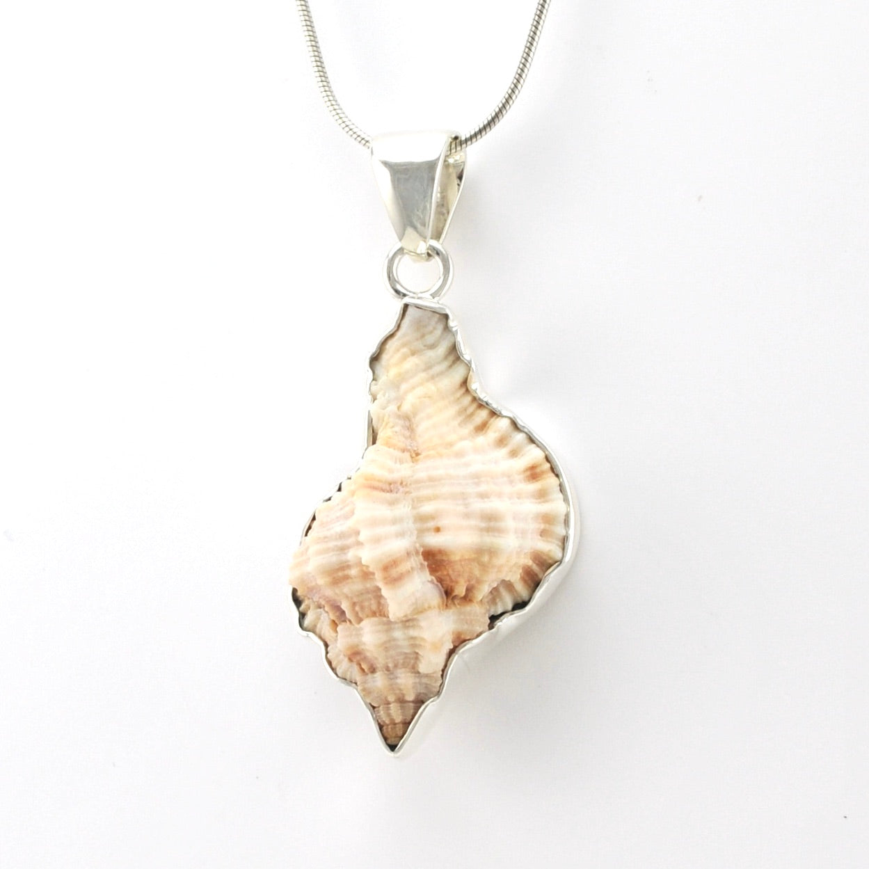 Silver Cantharus Shell Pendant