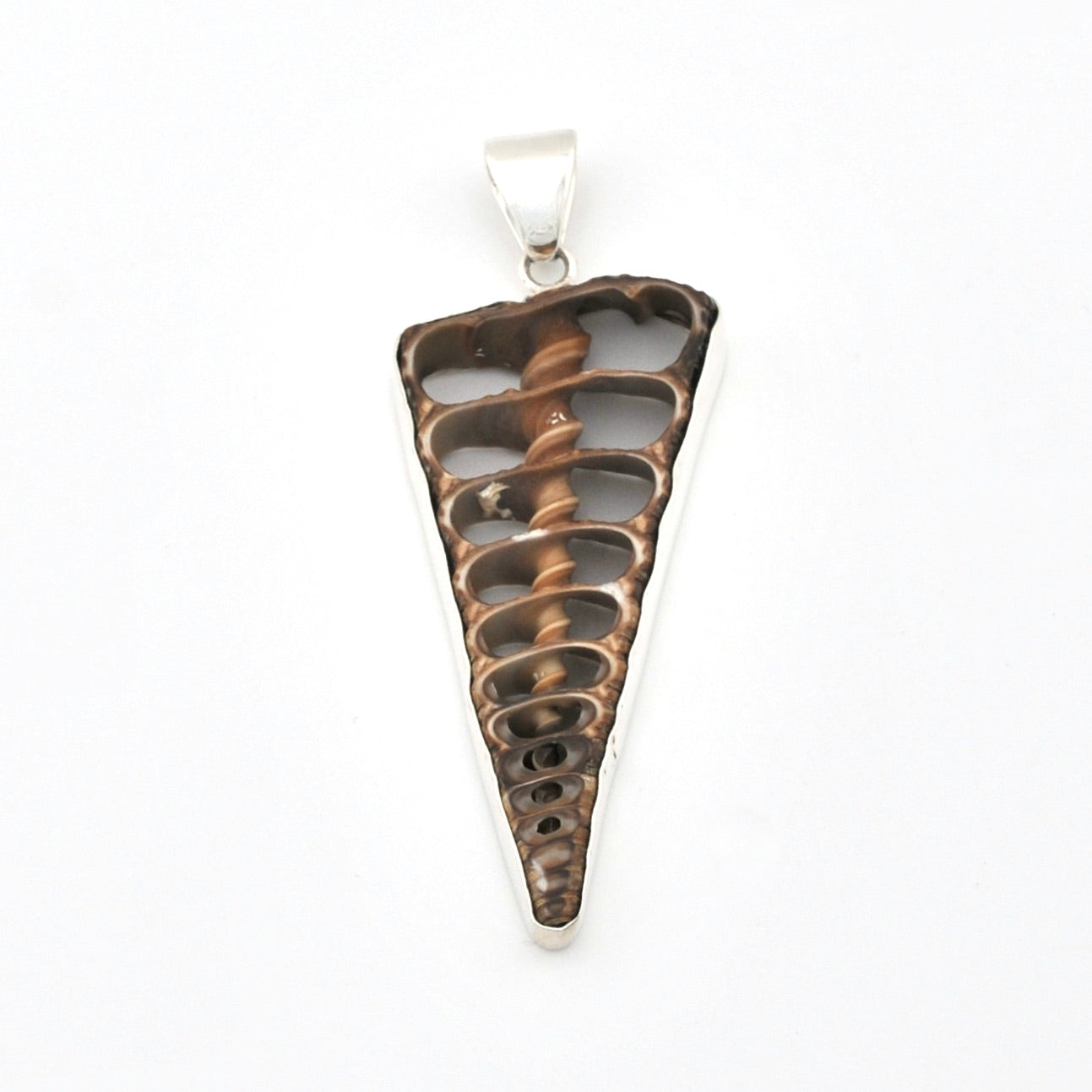 Silver Cerithium Telescopium Shell Pendant