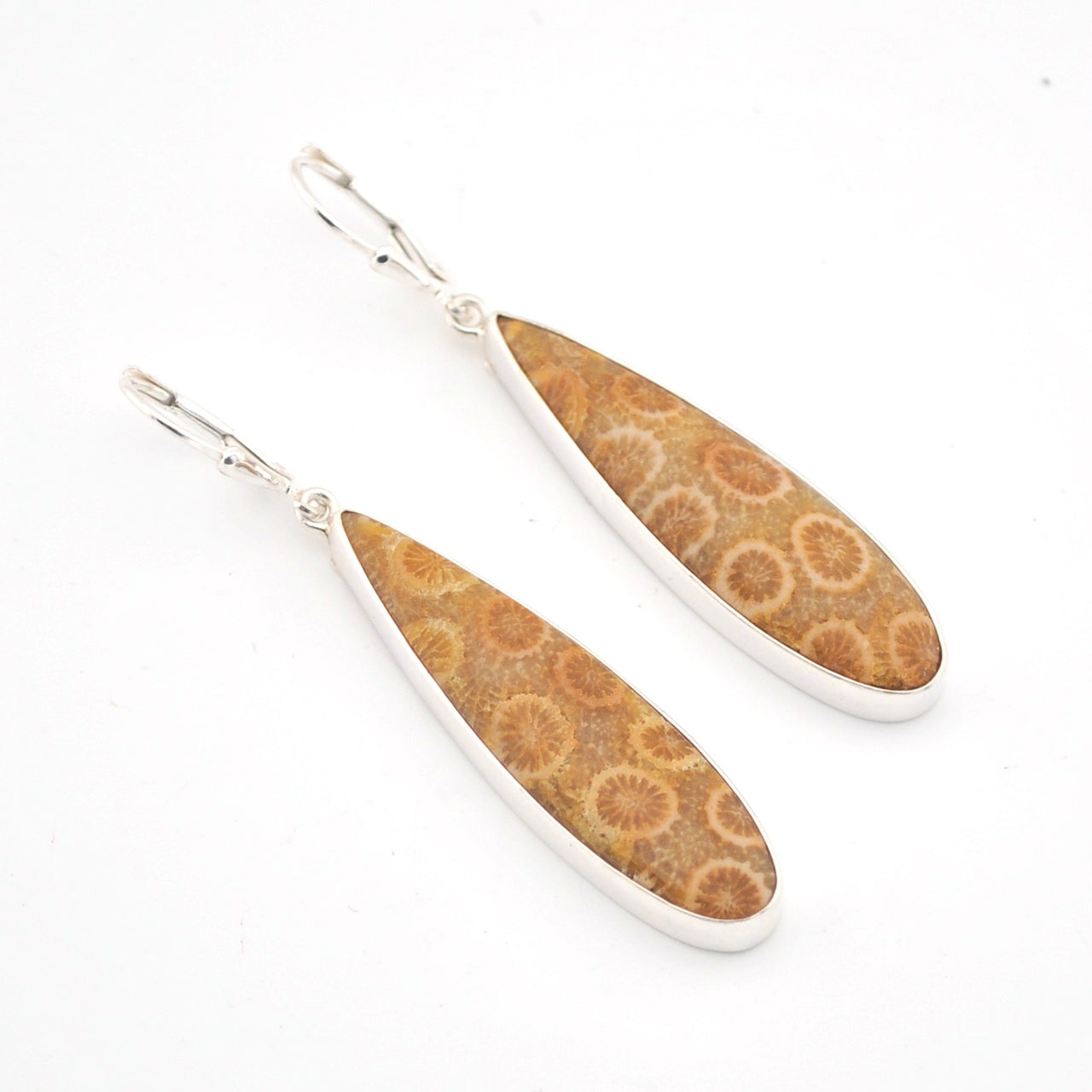 Pair of earrings with brown fossilized coral design on a white background