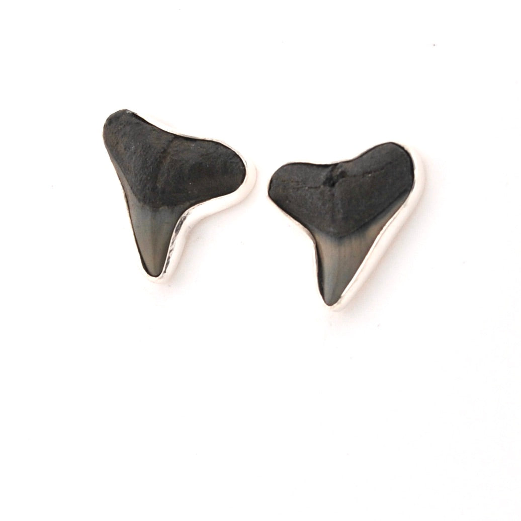Shark tooth-shaped earrings on a white background