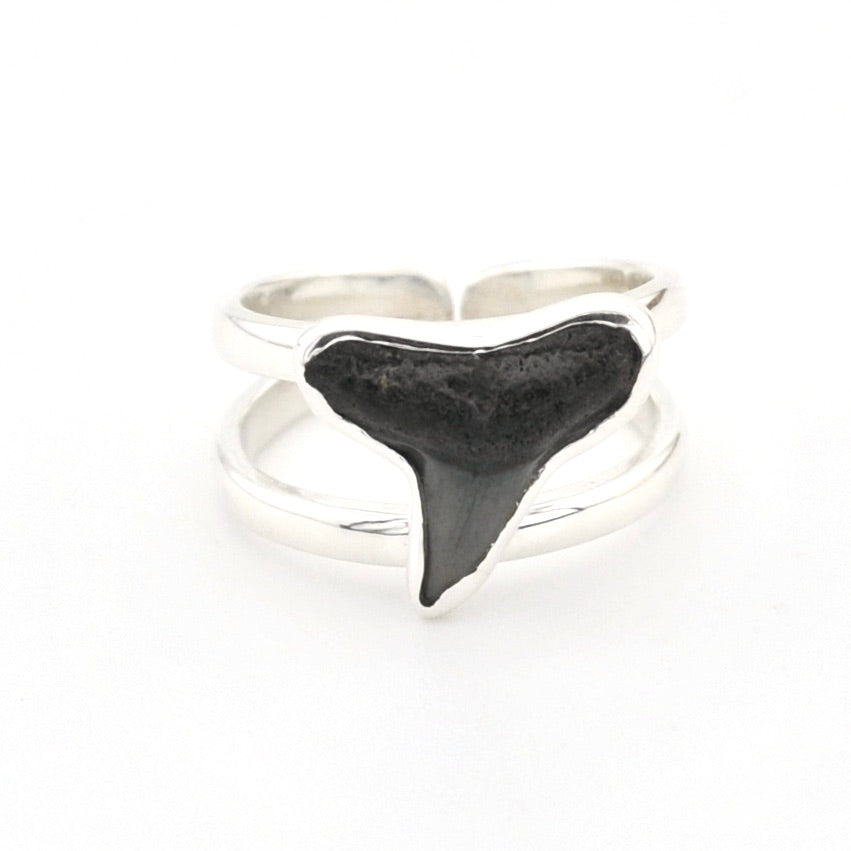 Silver ring with a black shark tooth on a white background