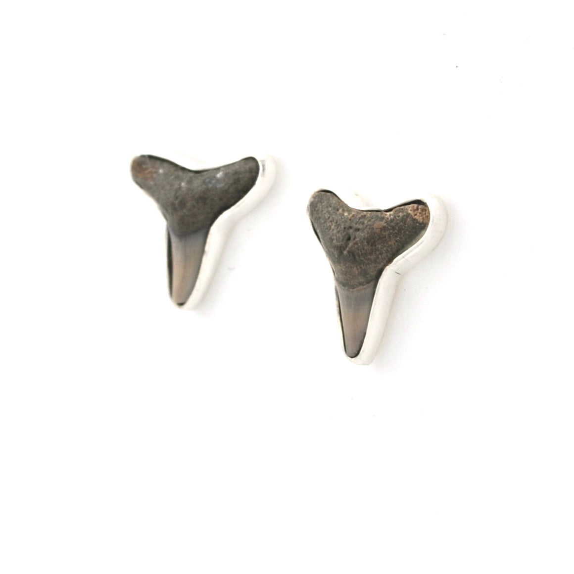 Shark tooth earrings on a white background