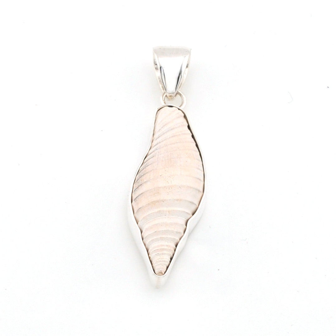Shell pendant on a white background