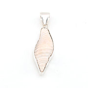 Shell pendant on a white background
