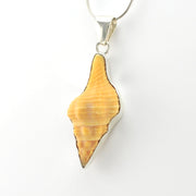 Silver House Conch Shell Pendant