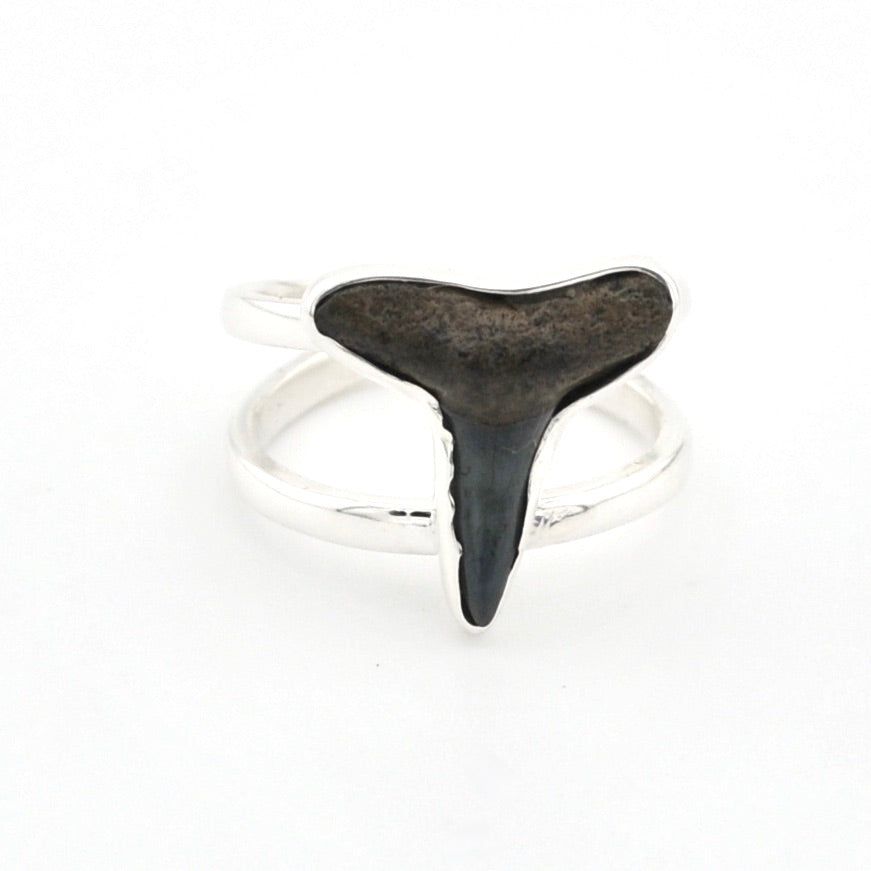 Shark toothring with silver band on a white background