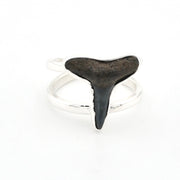 Shark toothring with silver band on a white background