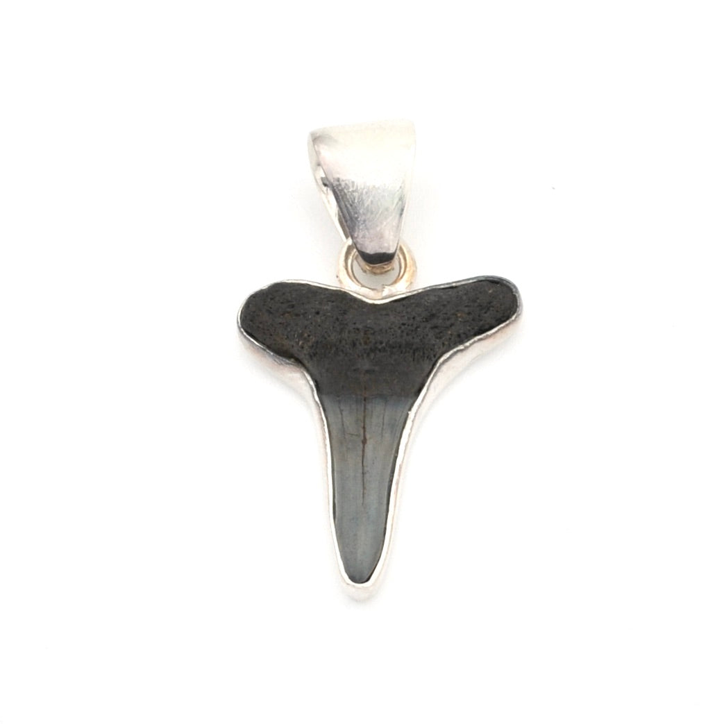 Silver Lemon Shark Tooth Pendant