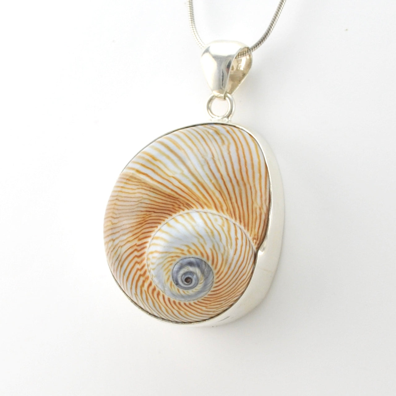 Silver Moon Snail Shell Pendant