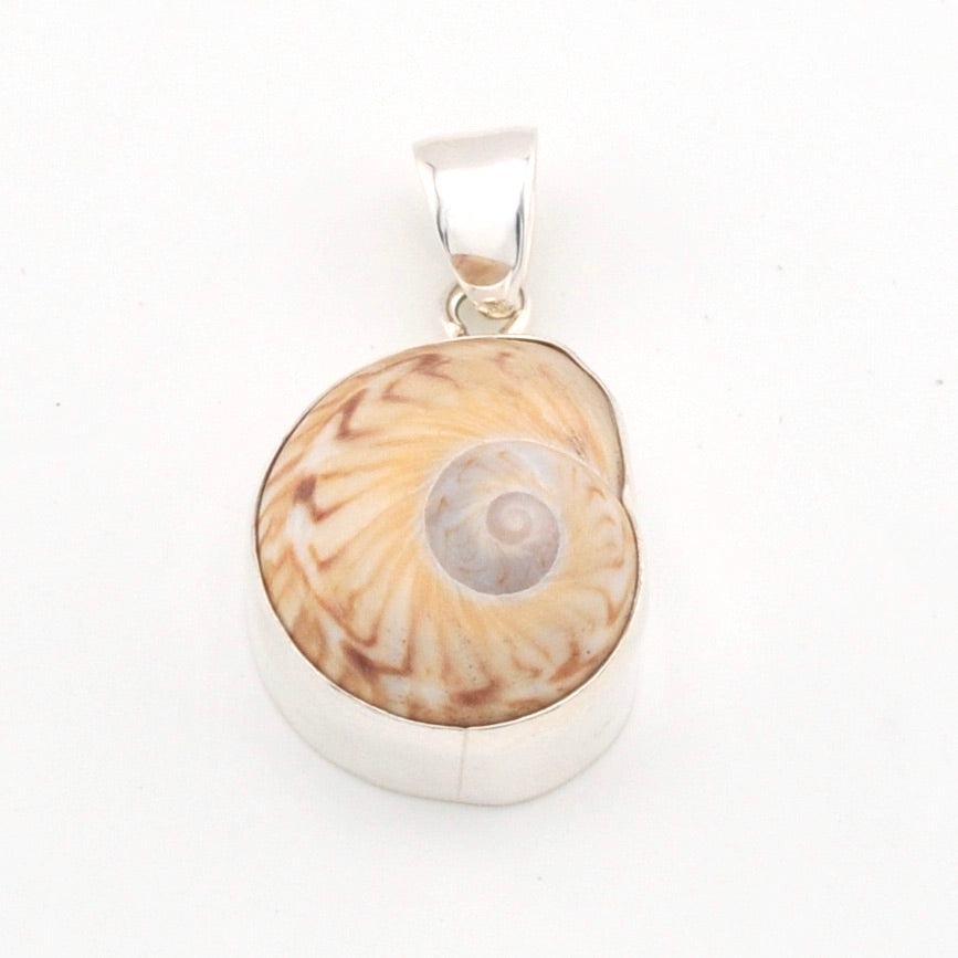 Shell pendant with sterling silver on a white background