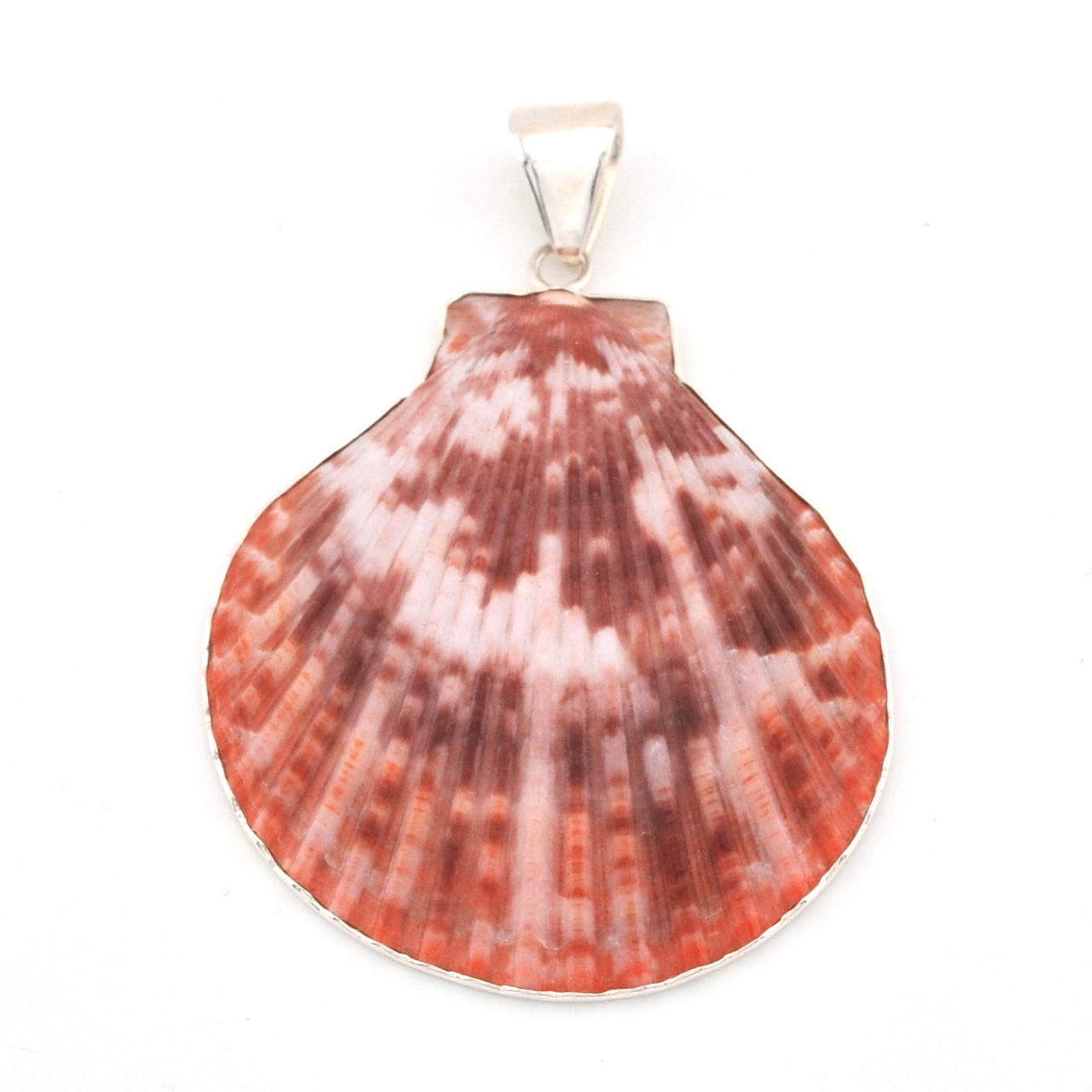 Shell pendant with silver setting on a white background