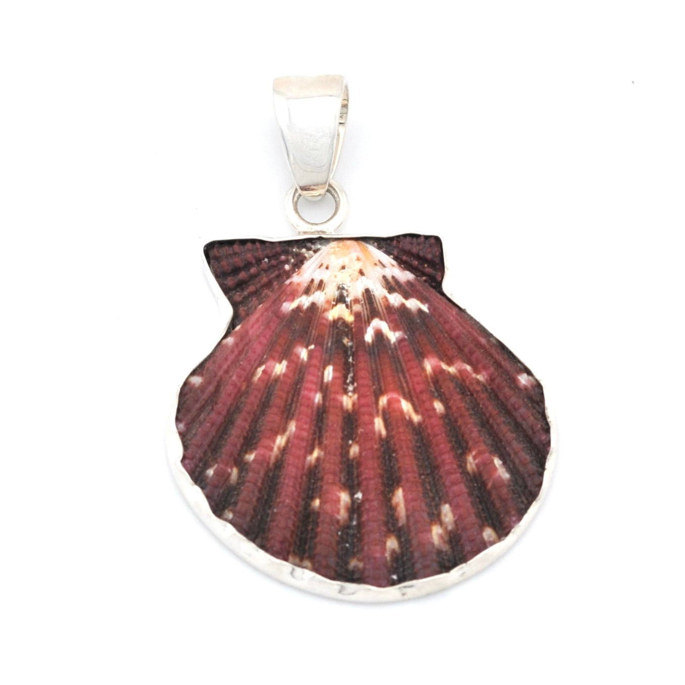 Shell pendant on a white background