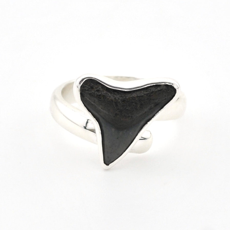 Silver ring with a black shark tooth on a white background