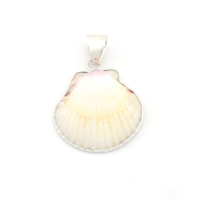 Silver White Ark Shell Pendant