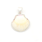 Silver White Ark Shell Pendant