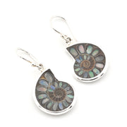 A pair of silver dangle earrings featuring polished round bezel-set ammolite shells with iridescent patterns of green, blue, and brown on a white background.