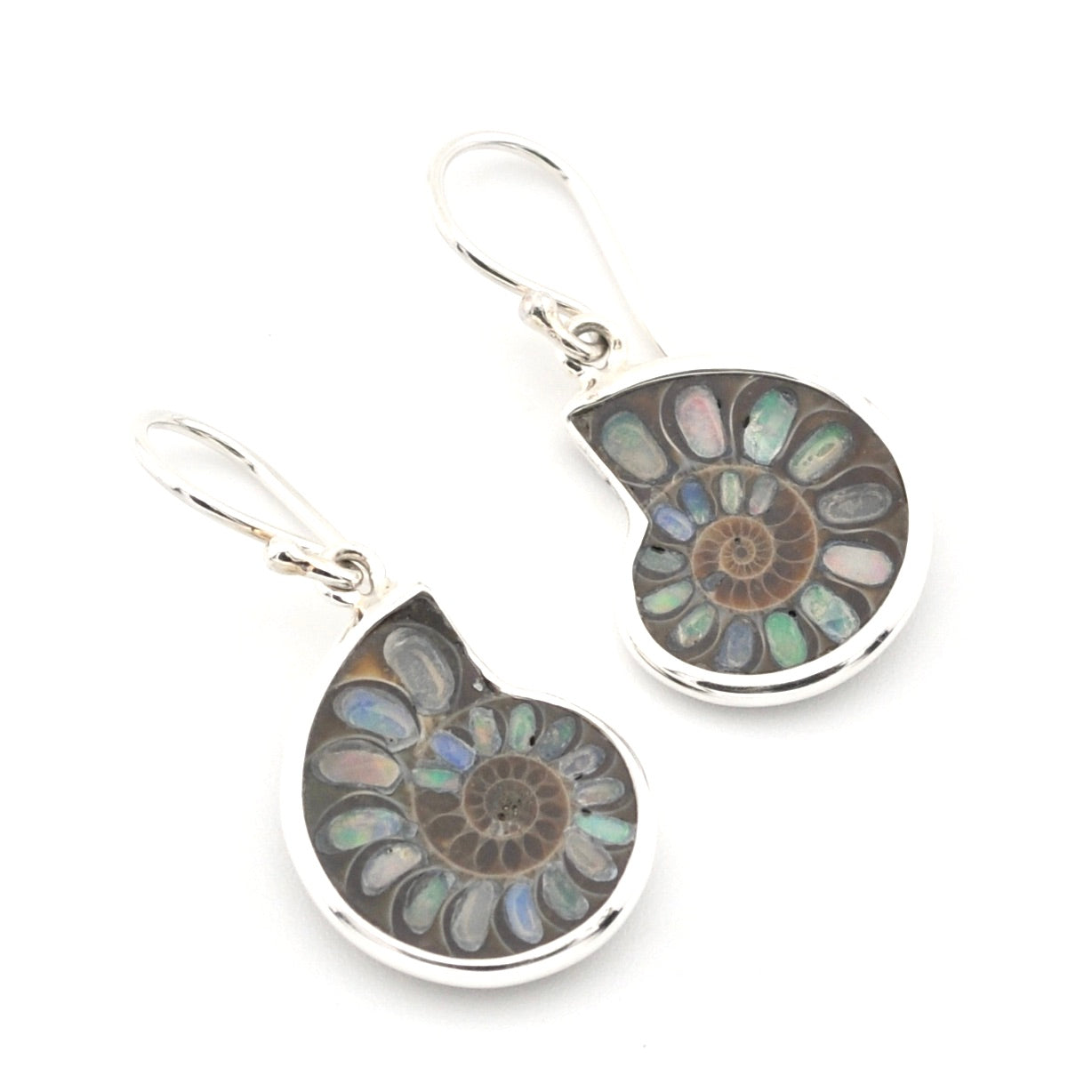 A pair of silver dangle earrings featuring polished round bezel-set ammolite shells with iridescent patterns of green, blue, and brown on a white background.