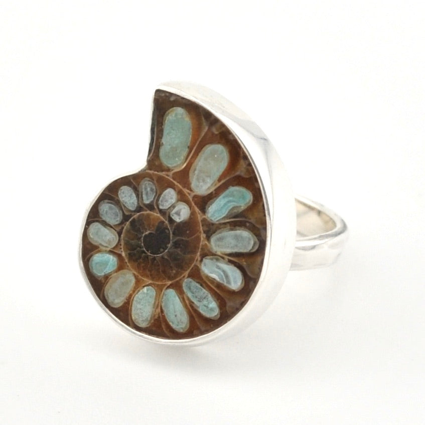 A silver ring featuring a large, teardrop-shaped natural ammonite fossil inlay with a spiral pattern of brown and pale blue-green segments, set against a plain white background.