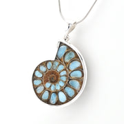 A silver pendant necklace featuring a polished ammonite shell section with light blue and brown fossilized segments, suspended from a silver chain against a plain white background.