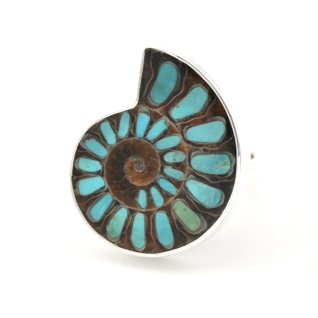 A spiral-shaped ring featuring a natural ammonite shell pattern with light blue inlay on a dark brown center, set in a silver-toned band against a white background.