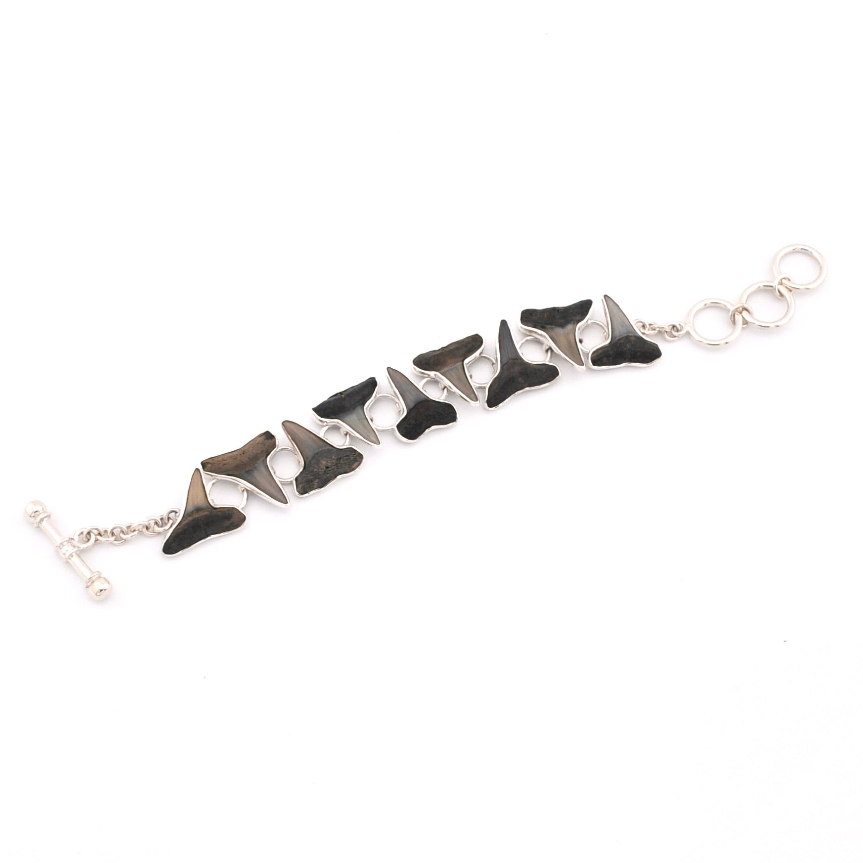 Bracelet with shark teeth on a white background