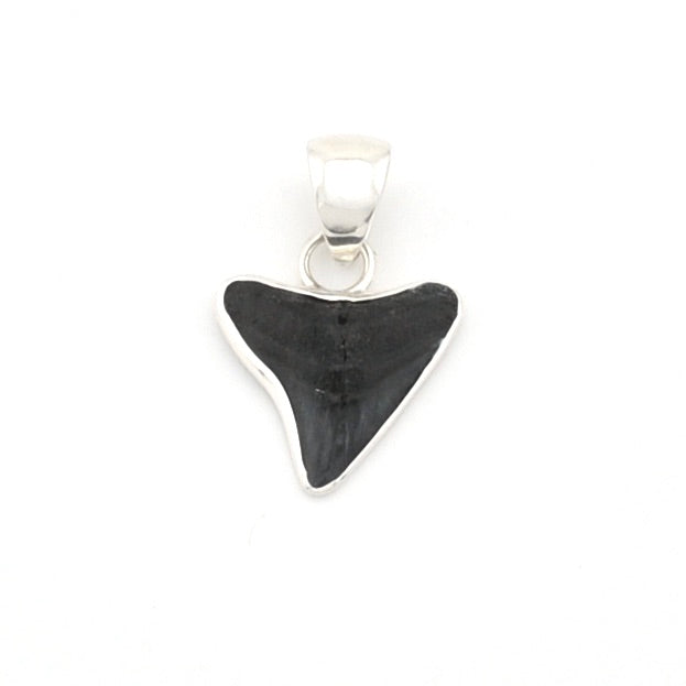 Black shark tooth pendant on a white background