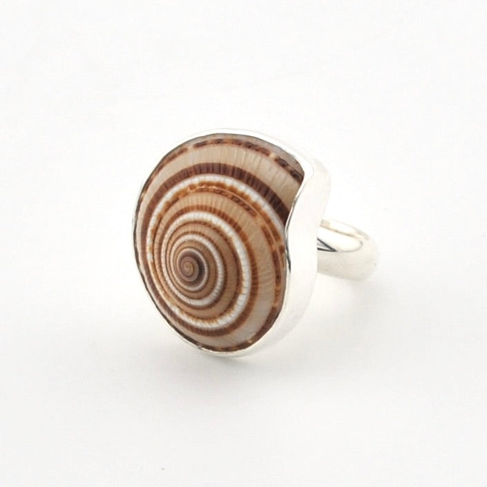 A silver ring featuring a large, round spiral shell inlay with brown and cream stripes, set against a plain white background.