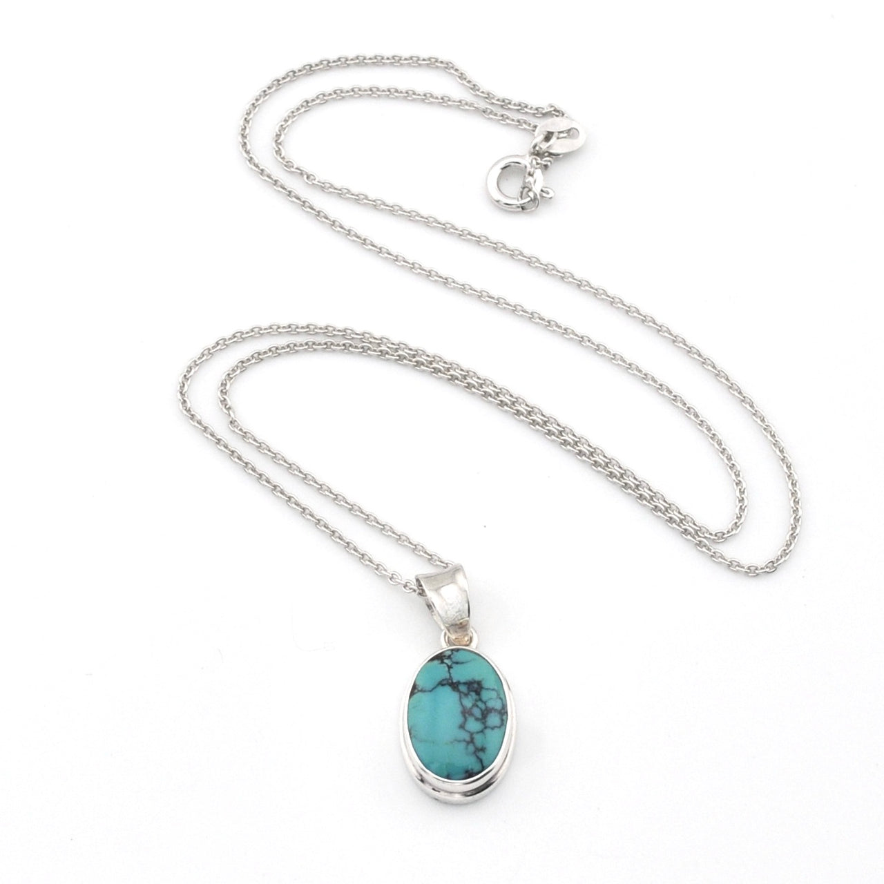 Turquoise pendant on a silver chain against a white background