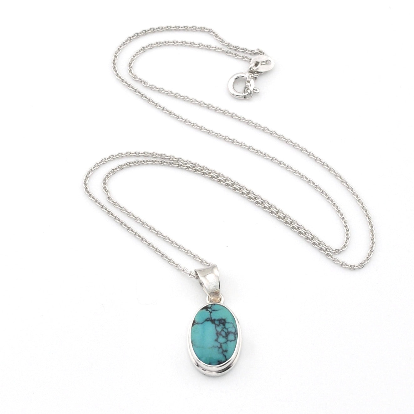 Turquoise pendant on a silver chain against a white background