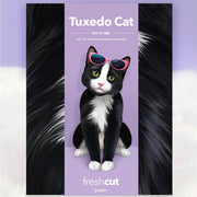 Pop-up cat toy with sunglasses on a purple background, featuring the brand 'freshcut'.