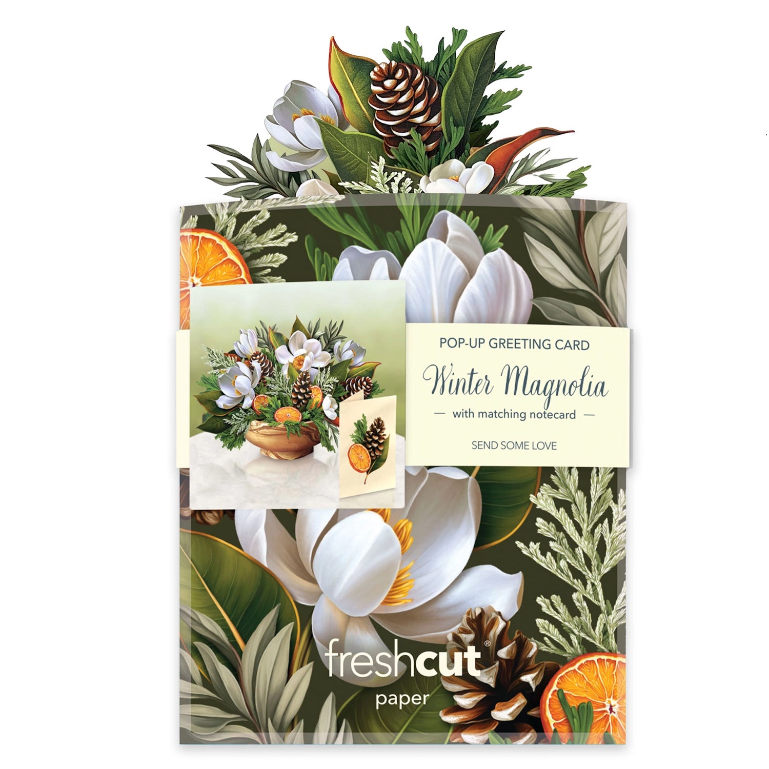 Pop-up greeting card with winter magnolia design and matching notecard by freshcut paper.