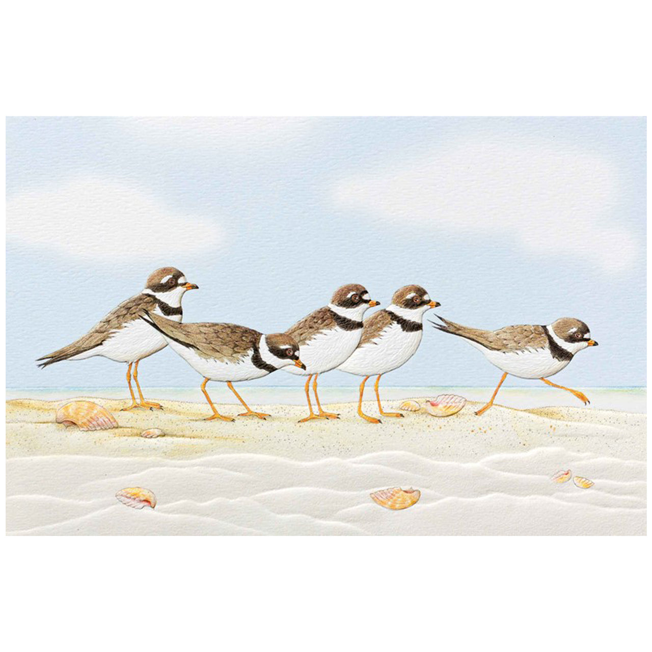 Playful Plovers Encouragement Card
