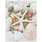 Shell Collection Note Card Set