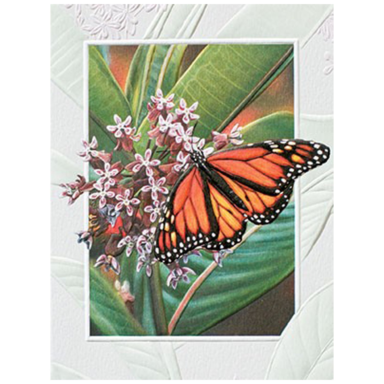 Monarch Butterfly Note Card Set