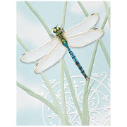 Dragonfly Jewel Note Card Set